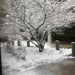 Meet your Posher, Samantha